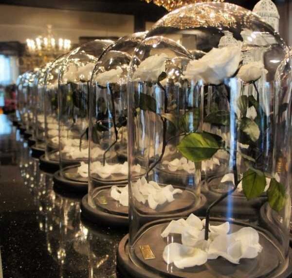 Зачаровані троянди в скляному контейнері