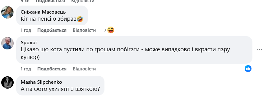 Кіт, що сидить на доларах, став зіркою Інтернету фото 1