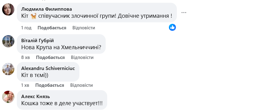 Кіт, що сидить на доларах, став зіркою Інтернету фото 2