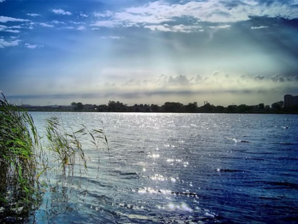 Плезіозаври Ведмежих озер