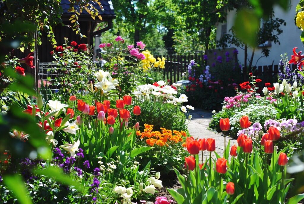 Якими квітами краще прикрасити ділянку будинку, щоб сад цвів з початку весни до пізньої осені?