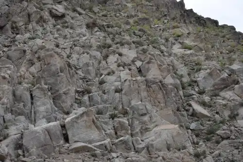 Чи помітите козла на цій світлині? Більшість людей його не бачать. А…