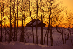 Домовик та його іменини. А ви поклали монетку під плиту?