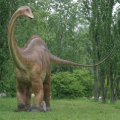 Невідоме науці 11-метрова істота їсть слонів