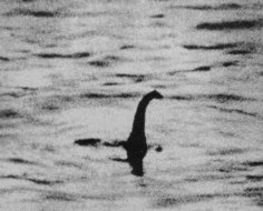 ХА-ХА новини 29 Чергова поява Нессі