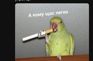 «Пес Шайтан» і «Фортеця Бурдж Халіфа»: українці відреагували мемами на новини з Дубая 45