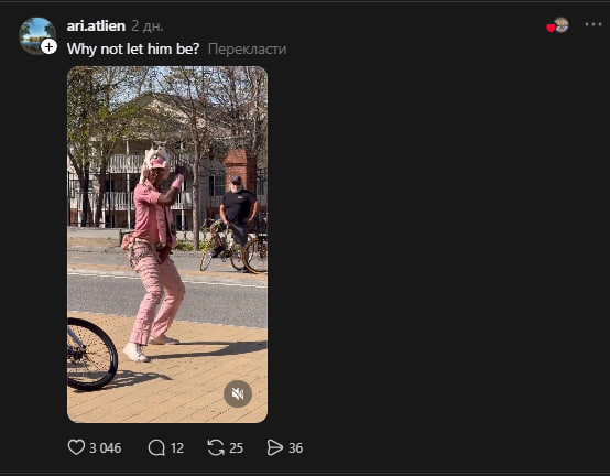 Чоловік з'явився в аеропорту з котом на голові та підірвав мережу (відео) 6