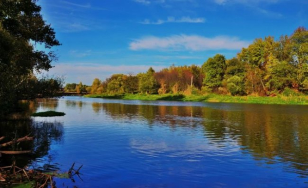 ХА-ХА новини 45 Міжнародний день рік