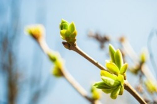 Долодійство