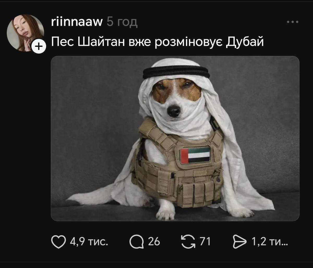 «Пес Шайтан» і «Фортеця Бурдж Халіфа»: українці відреагували мемами на новини з Дубая 30