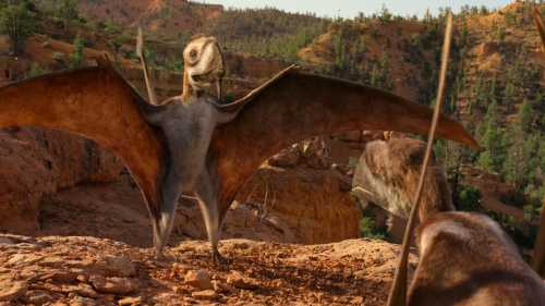 Комахи-гіганти: розмір не обов’язково залежить від кисню.