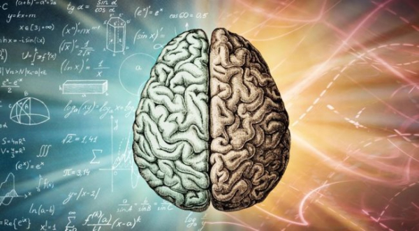 Який обсяг пам'яті у людського мозку і чи може вона&hellip;