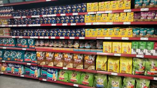 ХА-ХА новини 33 Рексу вже сім: чи це старість? Як і чому обирати корм за…