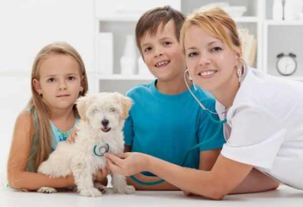 Міжнародний день ветеринарного лікаря