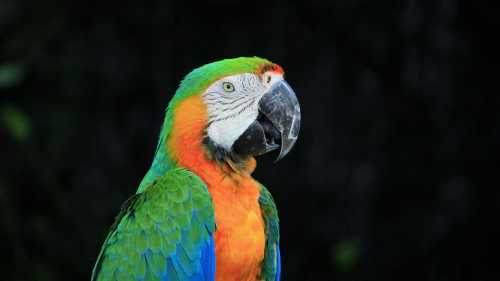 Твоє ім’я їм відоме. Можливо, обговорюють потайки.