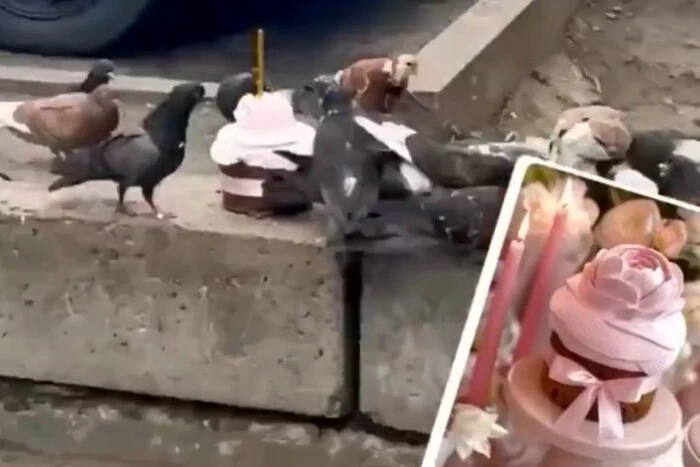 Елітна паска – голубам: у Києві на смітнику помічено непочату випічку від&hellip;