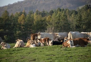 Як наука повертає зубам блиск: нова методика відновлення емалі 6