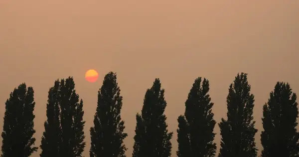 Синоптики прогнозують різкі зміни погоди в Україні
