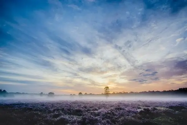 Успіння Пресвятої Богородиці: яке свято відзначають 17 серпня 4