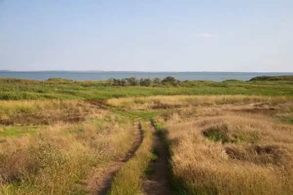 Успіння праведної Анни: яке церковне свято відзначають 31 серпня 4