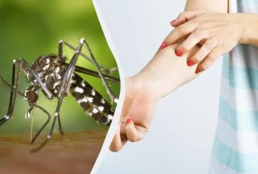 Акула-нянька влаштувала сюрприз вченим, зафільмувавши несподіванку 10