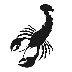 Гороскоп на 14 серпня 2026: зірки підкажуть, що чекає на кожен знак зодіаку 16 Гороскоп на 14 серпня 2026: зірки підкажуть, що чекає на кожен знак зодіаку 16