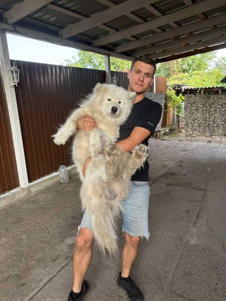 «Нова пошта» покарала співробітників, які вигнали собаку на спеку