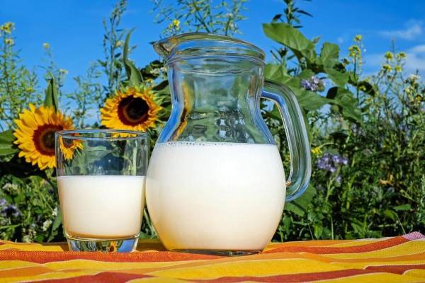 Тіло кричить про брак кальцію: тривожні сигнали від лікарів