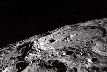 Насіння дерев облетіло Місяць і тепер росте на Землі 6 Насіння дерев облетіло Місяць і тепер росте на Землі 6