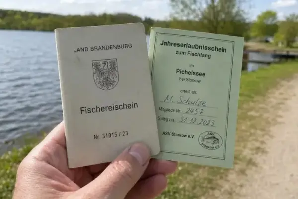 Українка дивується незвичним правилам життя в Німеччині