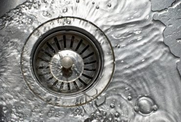 Британці знайшли спосіб зробити з зелених волоських горіхів справжній делікатес 7