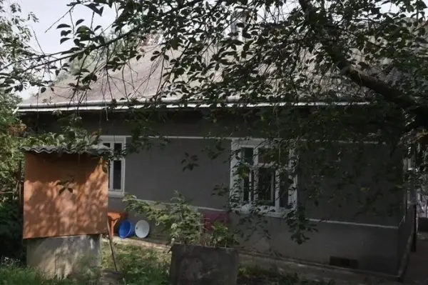 Молодята з Прикарпаття вдихнули життя у закинутий будинок за $2800