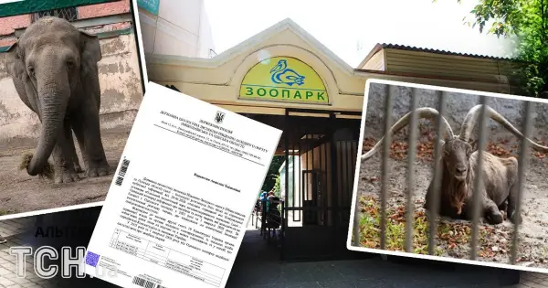 Одеський зоопарк: 41 смерть за рік, звинувачення у жорстокому поводженні та пошук порятунку
