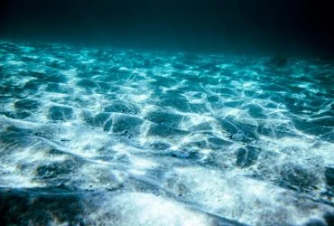 32 риб'ячих "готелі" біля вітряка: як вони допоможуть морським мешканцям 6