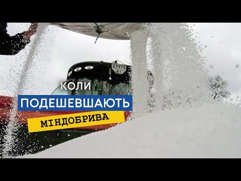 Ринок свинини: українські тренди та світові прогнози 6