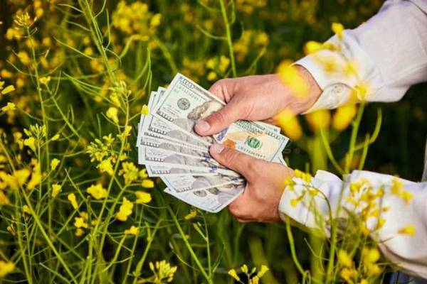 Агросектор: чому інвестиції в технології не завжди гарантують успіх 5 Агросектор: чому інвестиції в технології не завжди гарантують успіх 5