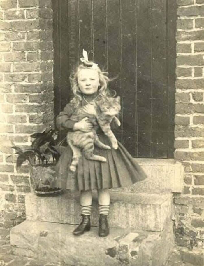 Коти-зірки: 30 архівних фото, що доводять: вони завжди крали шоу 22