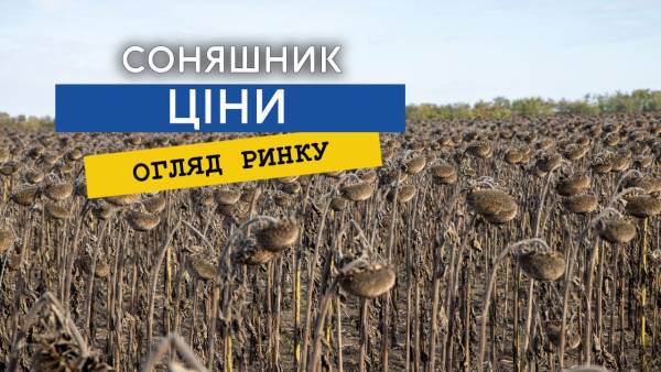 Агросектор: чому інвестиції в технології не завжди гарантують успіх 6 Агросектор: чому інвестиції в технології не завжди гарантують успіх 6