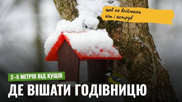 Де поставити годівницю, щоб птахи не стали здобиччю хижаків