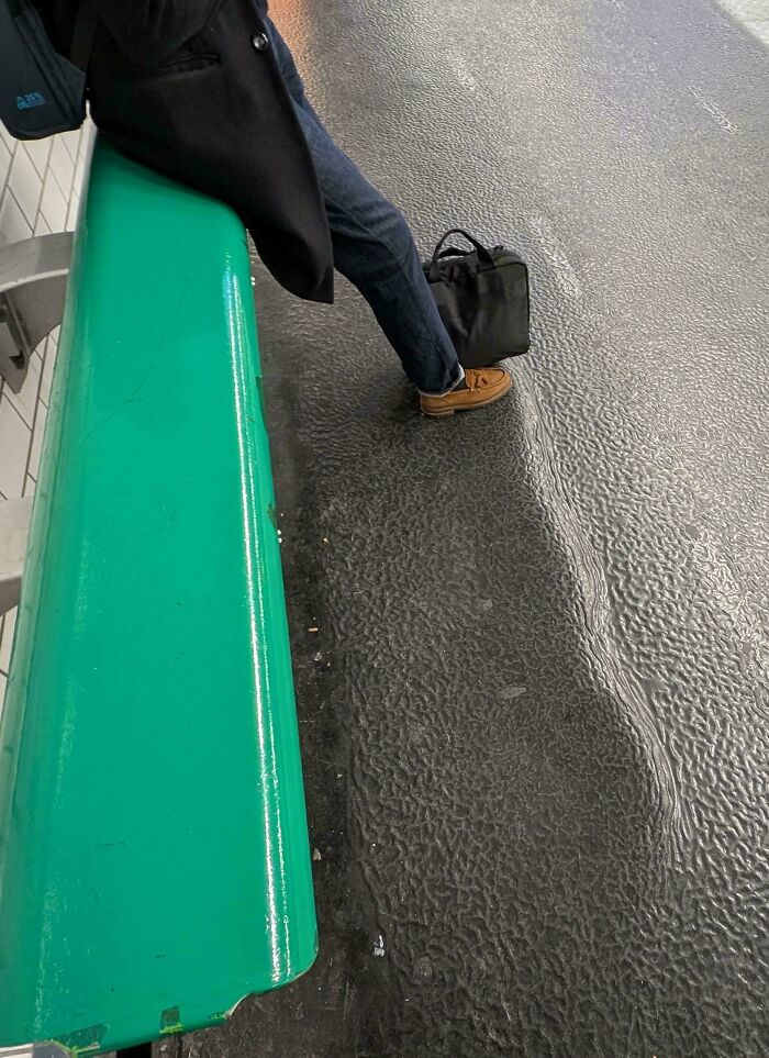 116 дивовижних світлин, що змусять вас сказати "Хм!" 147