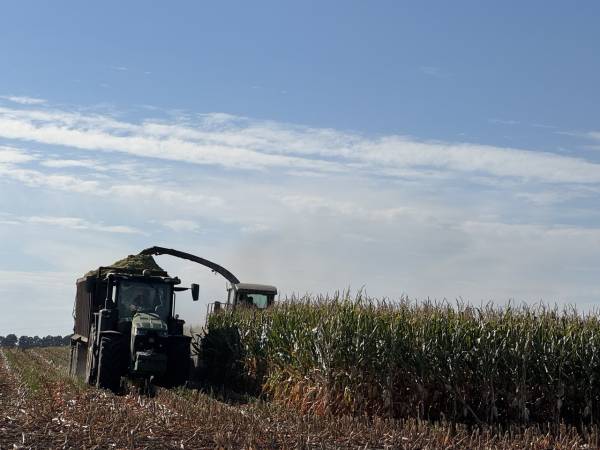 TAS Agro: Північний кластер впевнено тримає сезон завдяки потужній інфраструктурі 13