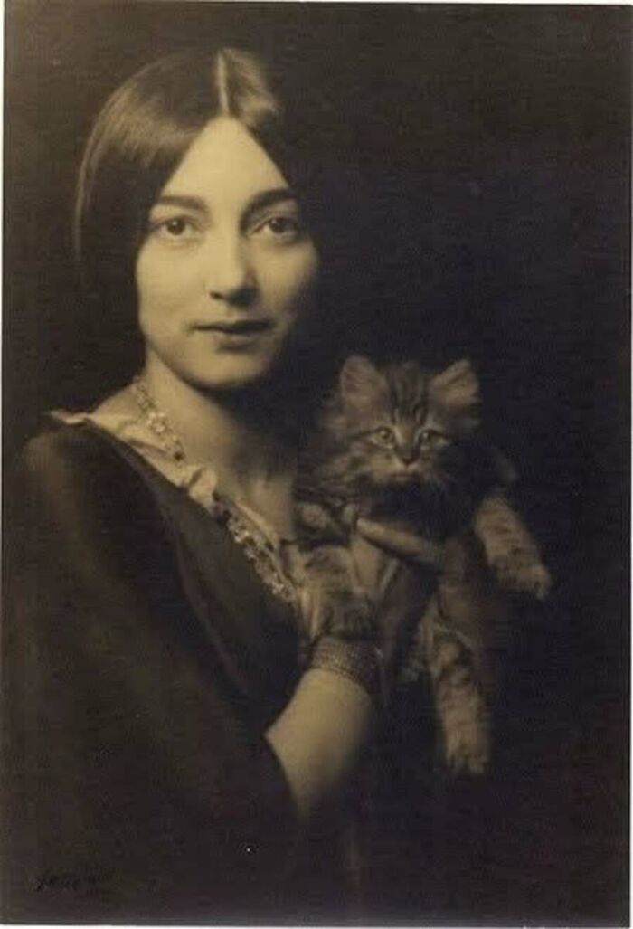 Коти-зірки: 30 архівних фото, що доводять: вони завжди крали шоу 27