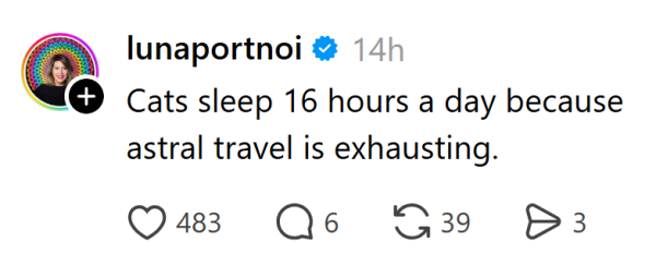 Наймиліші та найсмішніші котики тижня в Threads 42 Наймиліші та найсмішніші котики тижня в Threads 42