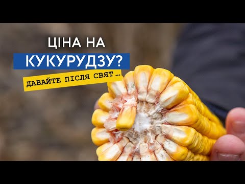 Логістичні проблеми та обмеження портів збивають ціну на кукурудзу 12