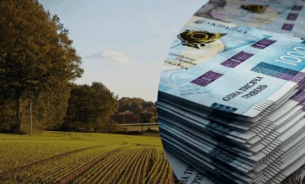 Земельні зміни 2025: індексація, податки та інвестиції