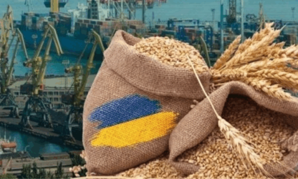 Експорт українського зерна впав на третину: чи врятує ситуацію «тиха гавань»