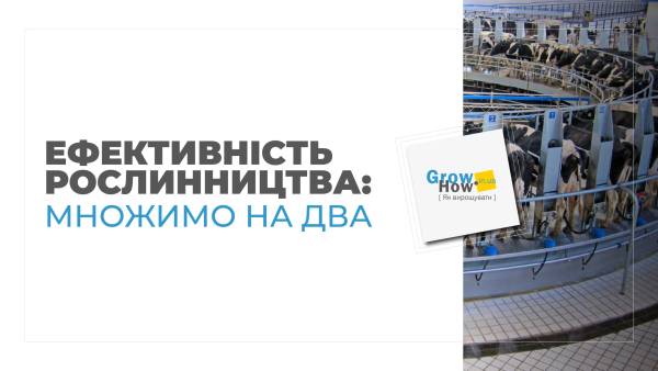 Як підрахувати собівартість молока та зберегти рентабельність ферми 39