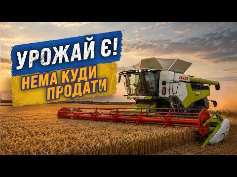 Заблокований вихід у море: як зупинка експорту тисне на ціни та фермерів 18 Заблокований вихід у море: як зупинка експорту тисне на ціни та фермерів 18