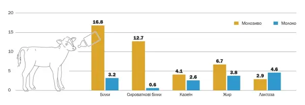 Молозиво: що корисного таїться у перших краплях молока 9