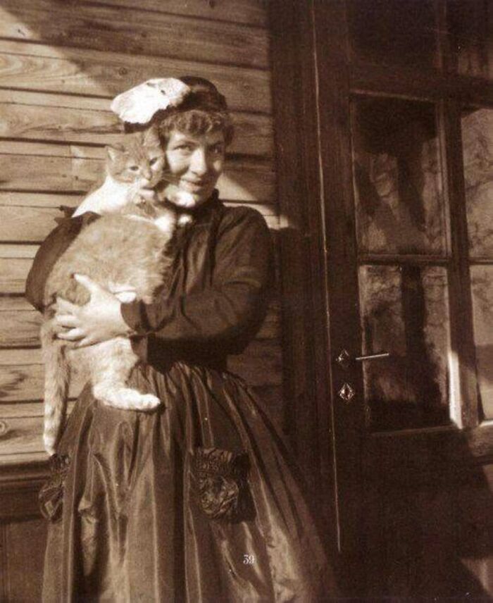 Коти-зірки: 30 архівних фото, що доводять: вони завжди крали шоу 32